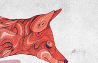 攻击网站服务器